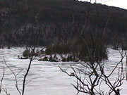 2001 March Miscallaneous MVC-009F (1).jpg